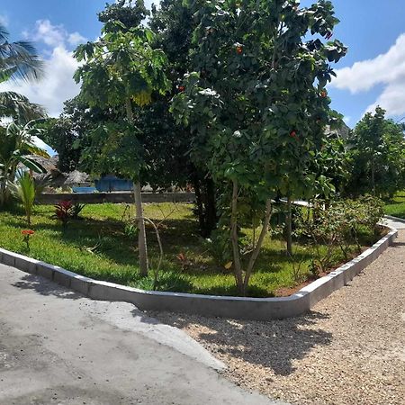 Africa Dream Bungalow Kiwengwa 호텔 키웬그와 외부 사진