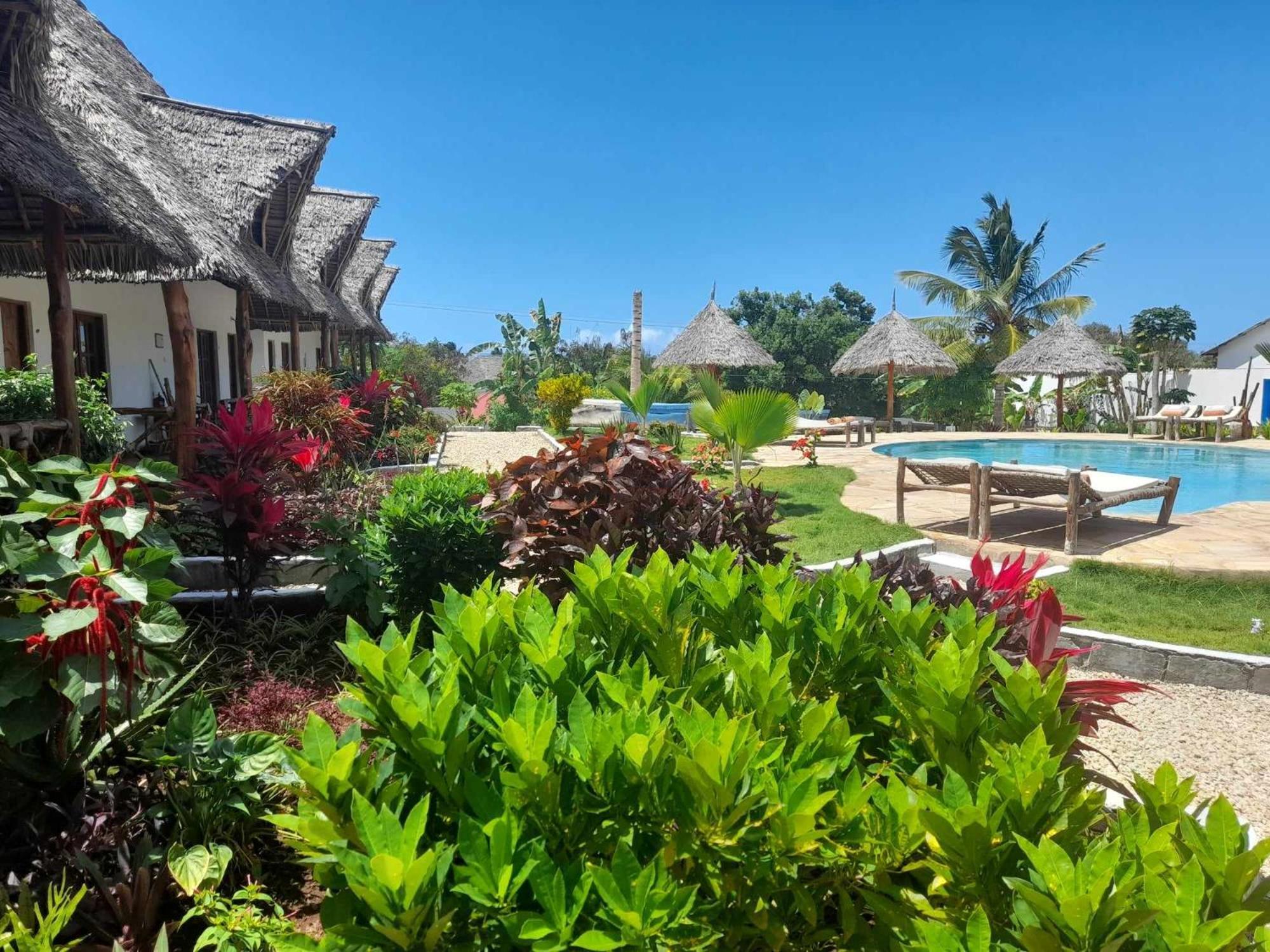 Africa Dream Bungalow Kiwengwa 호텔 키웬그와 외부 사진
