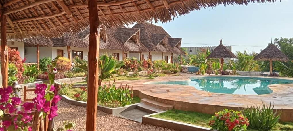Africa Dream Bungalow Kiwengwa 호텔 키웬그와 외부 사진
