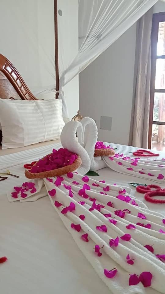 Africa Dream Bungalow Kiwengwa 호텔 키웬그와 외부 사진